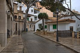 DSC03586 -1_t.jpg